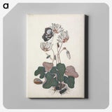 1-28_James-Bolton_canvas