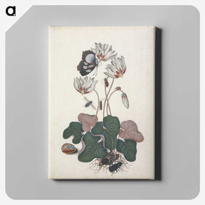 1-28_James-Bolton_canvas