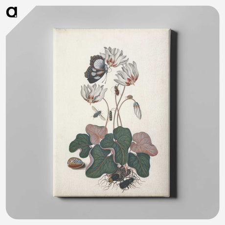 1-28_James-Bolton_canvas