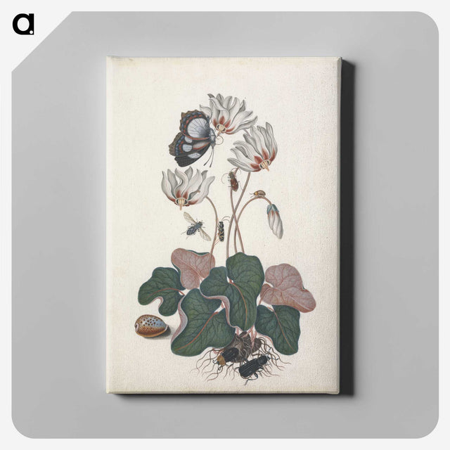 1-28_James-Bolton_canvas