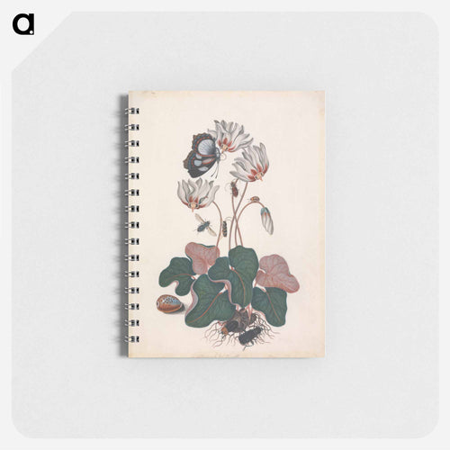 Cyclamen and Insects
 - ジェームズ ボルトン Memo.