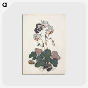 1-28_James-Bolton_postcard