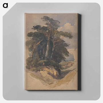 Pines on Hampstead Heath
 - ジェームス ヒース Canvas.