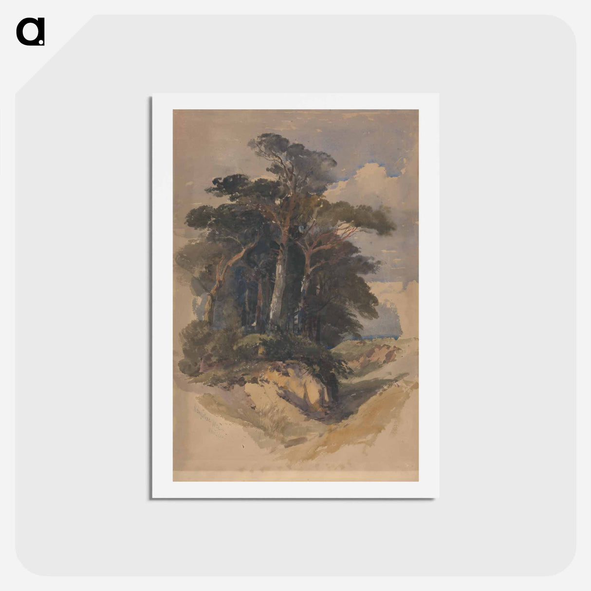 アートポストカード-Pines on Hampstead Heath
 - ジェームス ヒース Postcard.