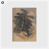 アートポストカード-Pines on Hampstead Heath
 - ジェームス ヒース Postcard.