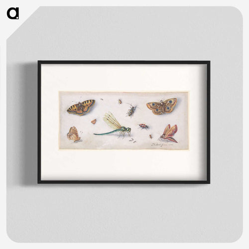 Insects, Butterflies, and a Dragonfly
 - ヤン ファン ケッセル Poster.