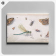 1-28_Jan-Van-Kessel_canvas