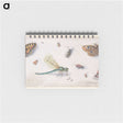 1-28_Jan-Van-Kessel_memo