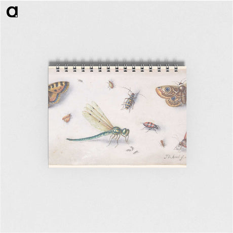 1-28_Jan-Van-Kessel_memo