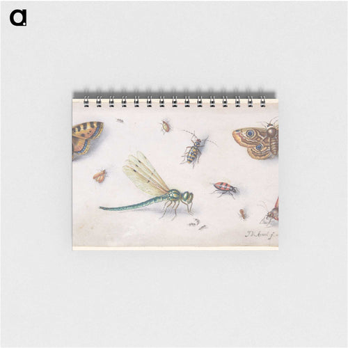 Insects, Butterflies, and a Dragonfly
 - ヤン ファン ケッセル Memo.