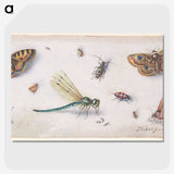 1-28_Jan-Van-Kessel_picture-crop