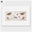 1-28_Jan-Van-Kessel_picture