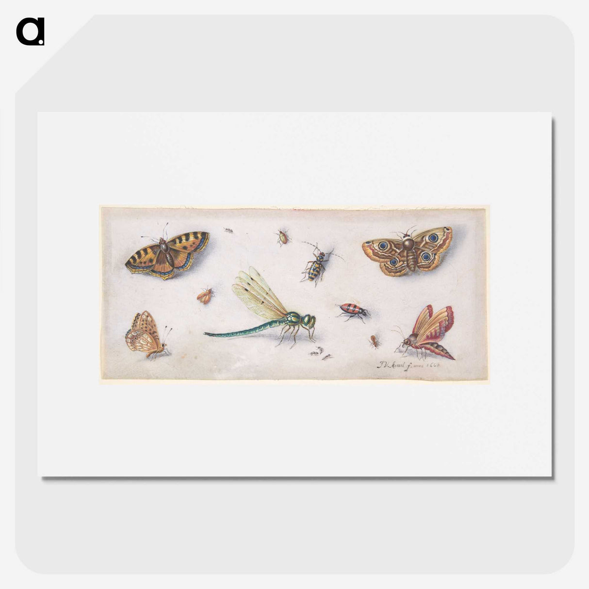 1-28_Jan-Van-Kessel_picture