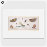 1-28_Jan-Van-Kessel_picture