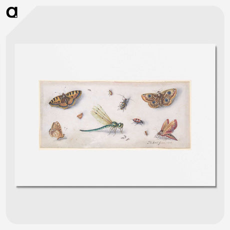 1-28_Jan-Van-Kessel_picture
