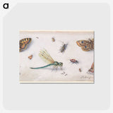 1-28_Jan-Van-Kessel_postcard