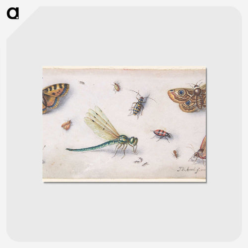 Insects, Butterflies, and a Dragonfly
 - ヤン ファン ケッセル Postcard.