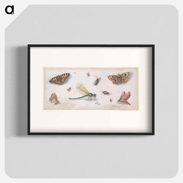 Insects, Butterflies, and a Dragonfly
 - ヤン ファン ケッセル Poster.
