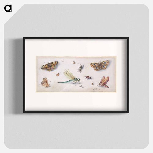 Insects, Butterflies, and a Dragonfly
 - ヤン ファン ケッセル Poster.
