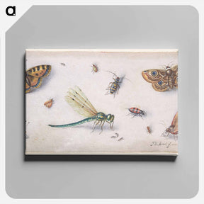 アートパネル-Insects, Butterflies, and a Dragonfly
 - ヤン ファン ケッセル Canvas.