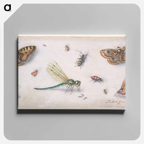 アートパネル-Insects, Butterflies, and a Dragonfly
 - ヤン ファン ケッセル Canvas.