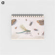 アートメモ帳-Insects, Butterflies, and a Dragonfly
 - ヤン ファン ケッセル Memo.