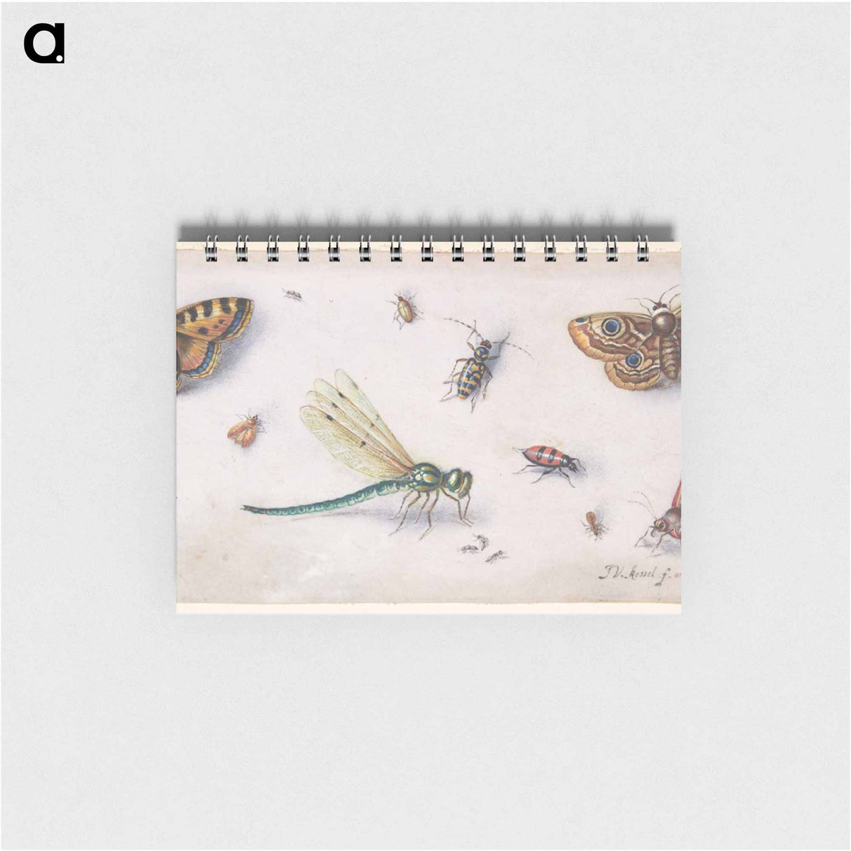 アートメモ帳-Insects, Butterflies, and a Dragonfly
 - ヤン ファン ケッセル Memo.