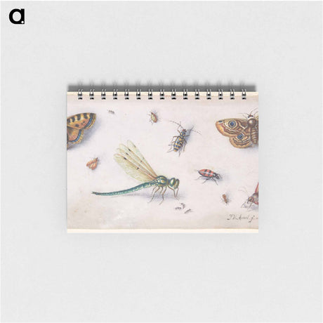 アートメモ帳-Insects, Butterflies, and a Dragonfly
 - ヤン ファン ケッセル Memo.