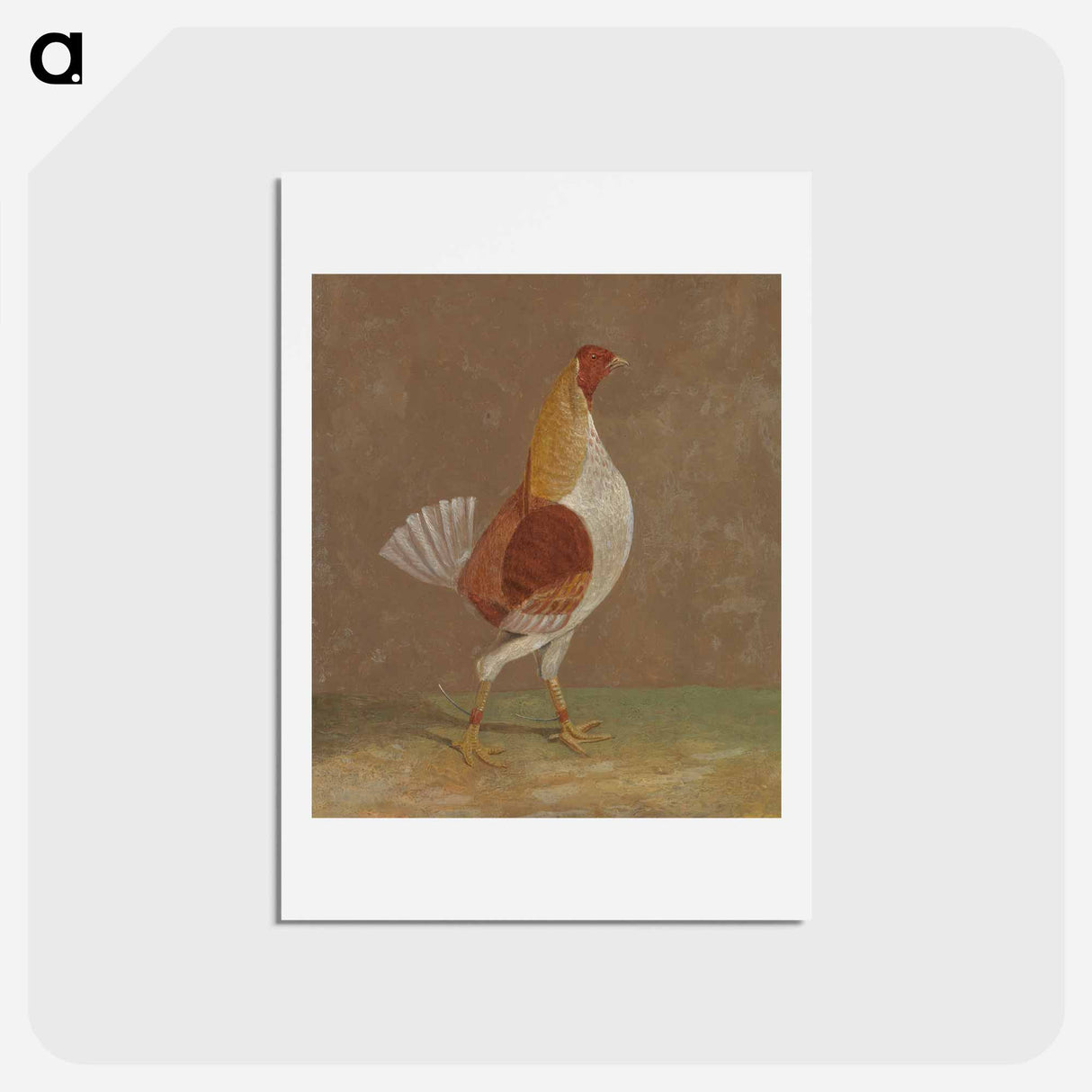 Fighting Cocks
 - ジョン フレデリック ヘリング Postcard.