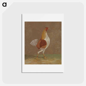 アートポストカード-Fighting Cocks
 - ジョン フレデリック ヘリング Postcard.