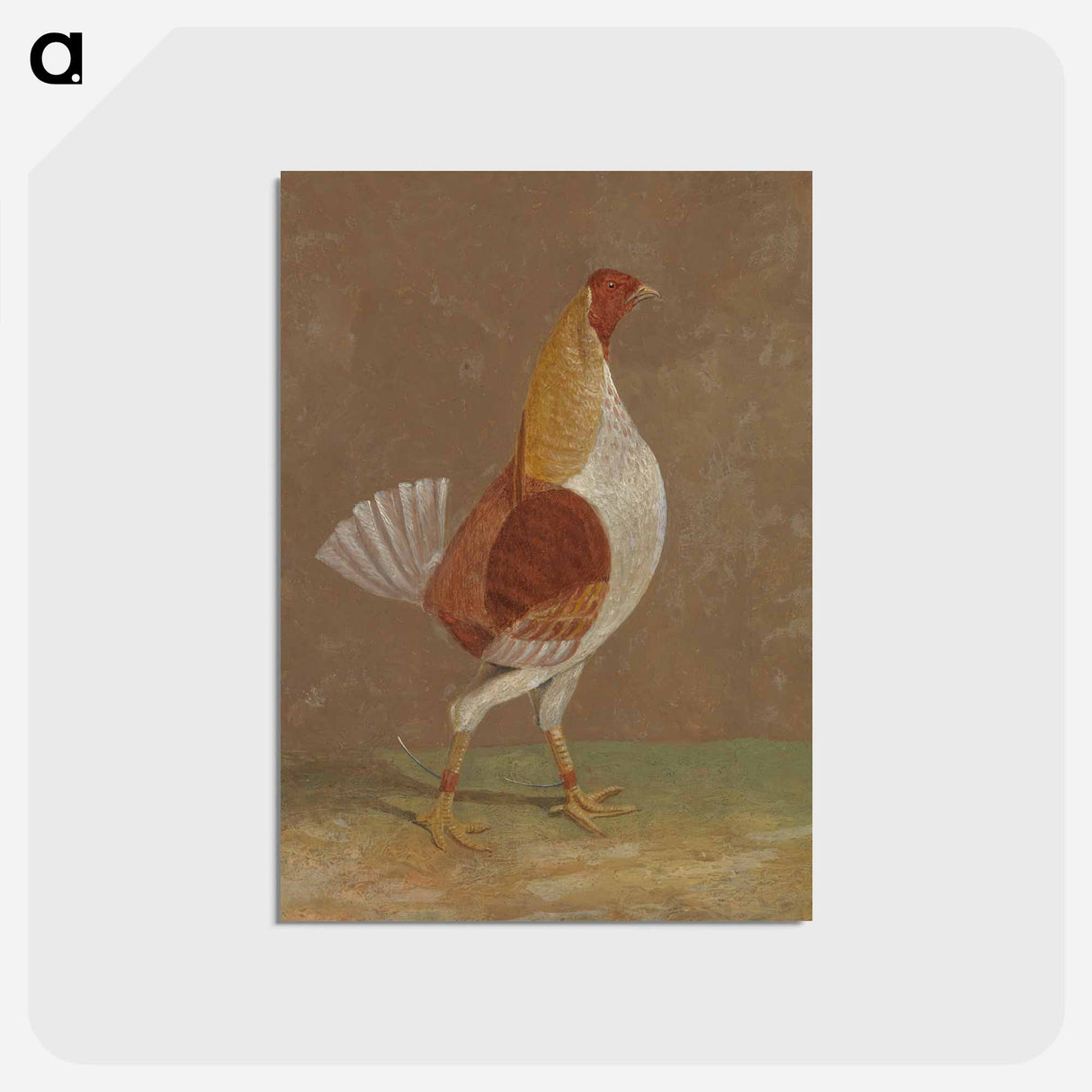 Fighting Cocks
 - ジョン フレデリック ヘリング Postcard.