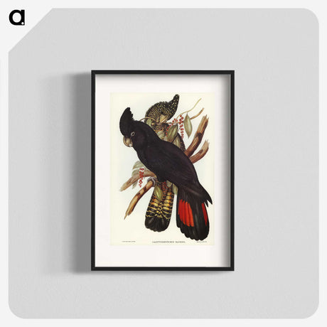 1-28_John-Gould_blk