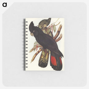 1-28_John-Gould_memo