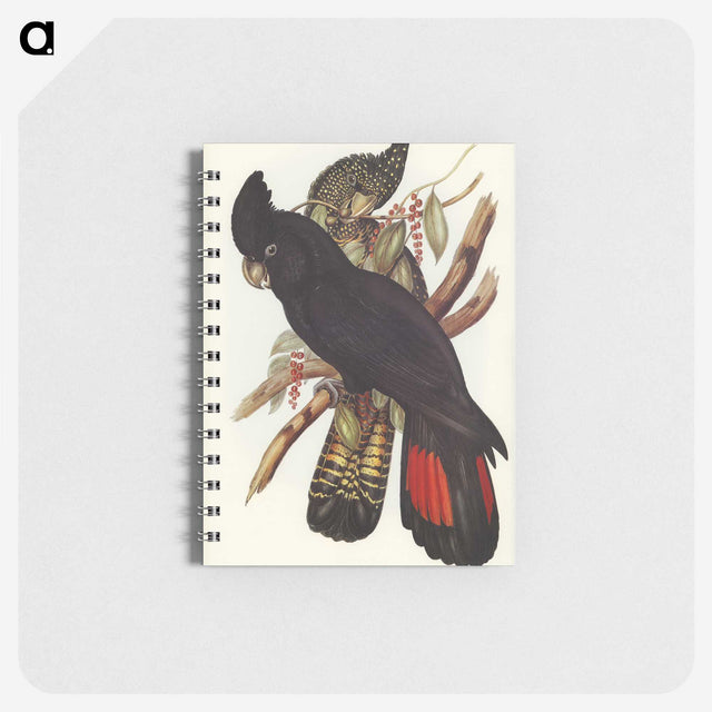 1-28_John-Gould_memo