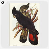 1-28_John-Gould_picture-crop