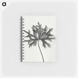 アートメモ帳-Aconitum Anthora (Yellow Monkshood Leaf) - カール ブロスフェルト Memo.