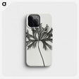 1-28_Karl-Blossfeldt_phone