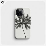 1-28_Karl-Blossfeldt_phone