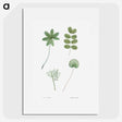 1-28_La-Botanique_picture