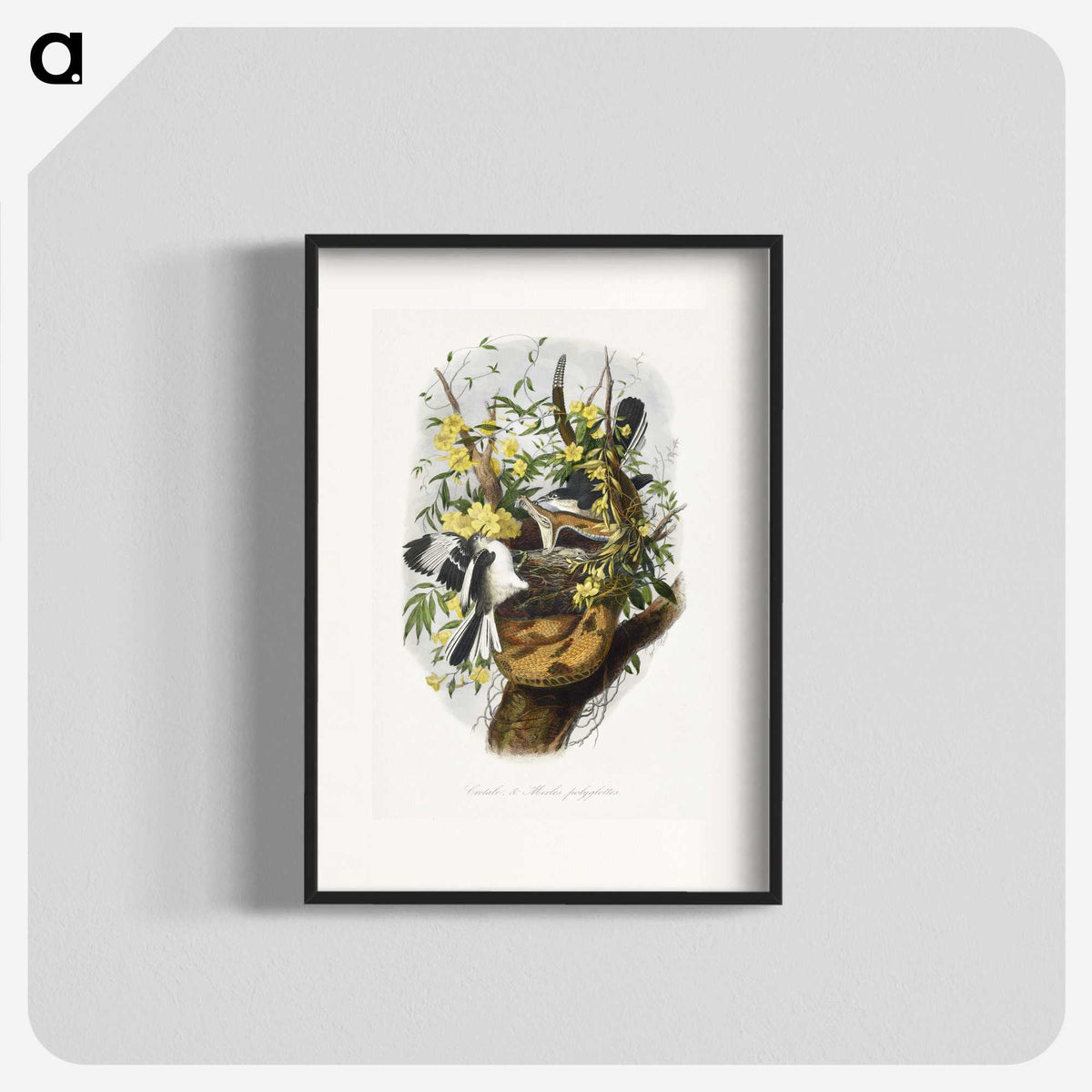1-28_Le-Jardin-des-Plantes_blk