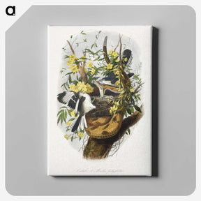 1-28_Le-Jardin-des-Plantes_canvas