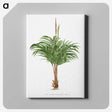 1-28_Les-Palmiers-Histoire-Iconographique_canvas