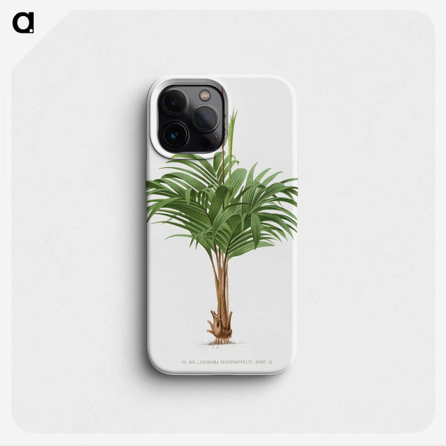 1-28_Les-Palmiers-Histoire-Iconographique_phone