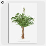 1-28_Les-Palmiers-Histoire-Iconographique_picture-crop
