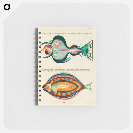 アートメモ帳-Moluccan Fishes
 - ルイ ルナール Memo.