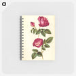 アートメモ帳-Rosa gallica and Rose
 - マリア ジビーラ メーリアン Memo.