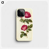 1-28_Maria-Sibylla-Merian_phone