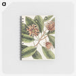 1-28_Mark-Catesby_memo