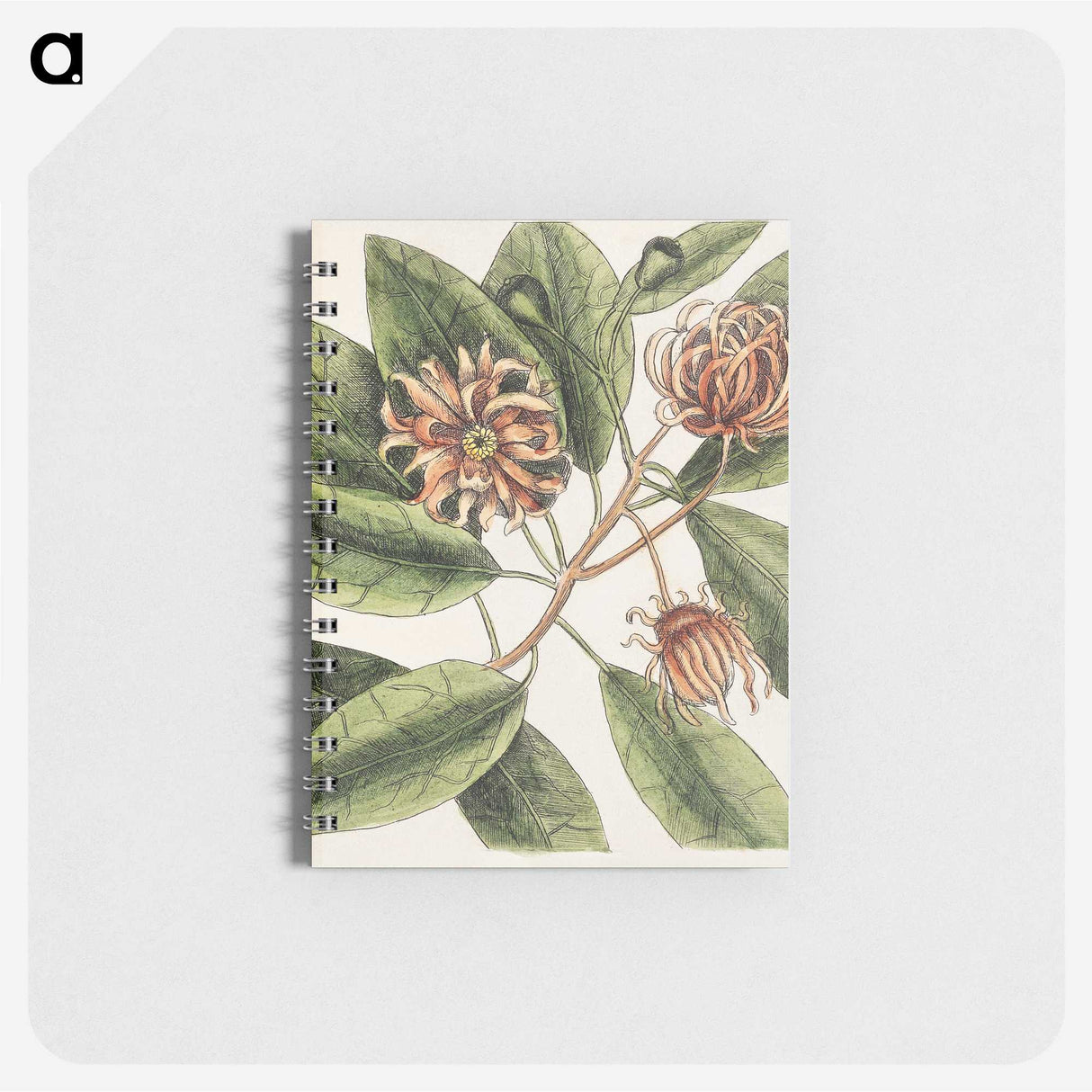 1-28_Mark-Catesby_memo