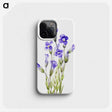 1-28_Mary-Vaux-Walcott_phone